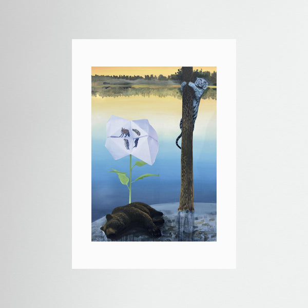 Tiger och björn - Fine Art Print