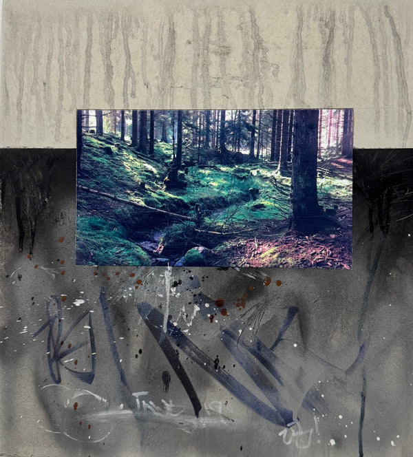 Wald trifft Beton